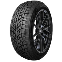 215/60R17 ANTARES LUMI 001 96 T Žieminės