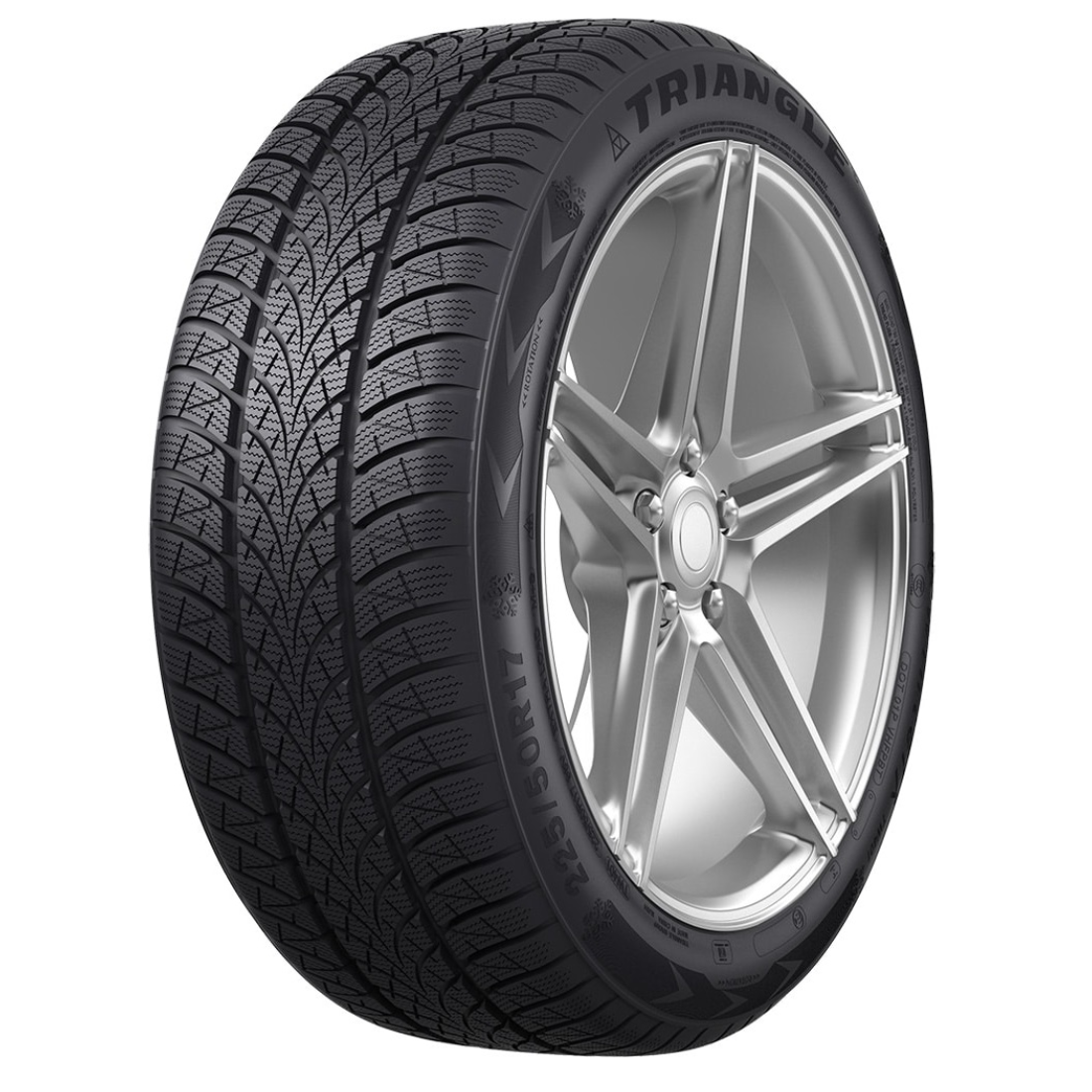 195/55R20 TRIANGLE TW401 95 H XL Žieminės