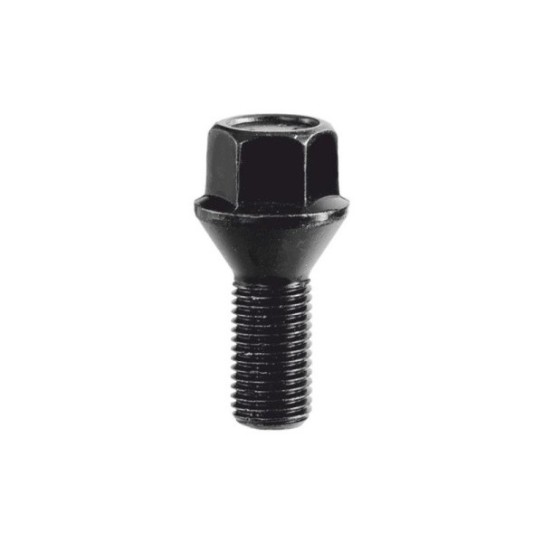 Rato varžtas Bimecc M14x1.25x27.6  HEX17 60°