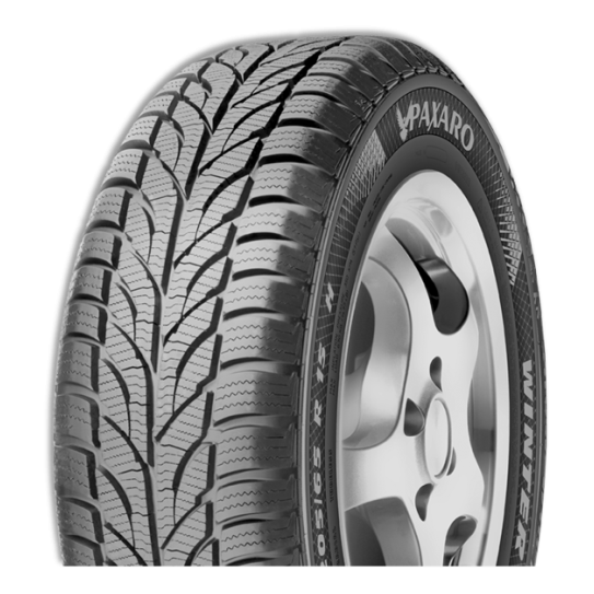 205/55R16 PAXARO WINTER 91T