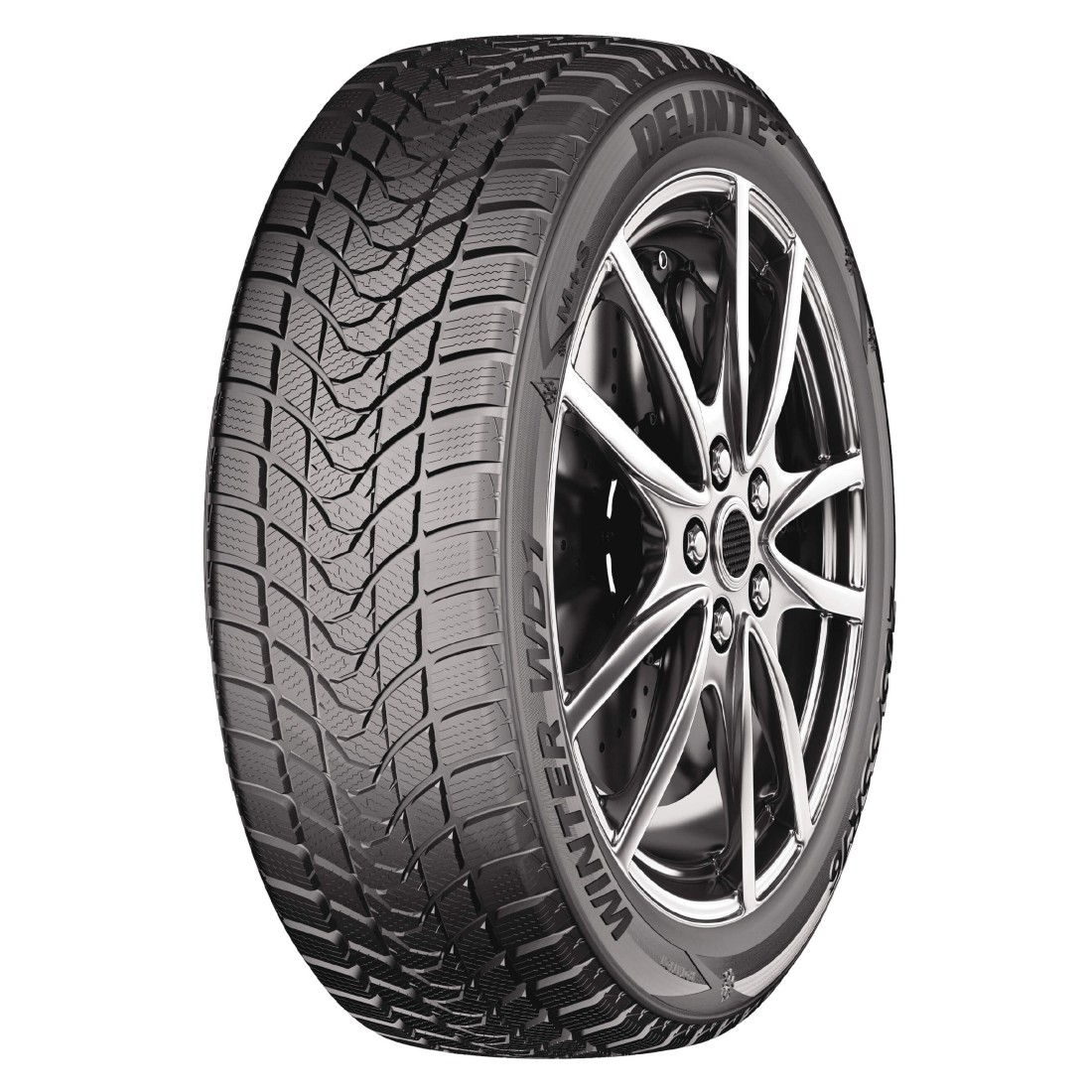 245/50R18 DELINTE WINTER WD1 100H