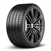 255/30R19 BRIDGESTONE Potenza Sport 91 Y Vasarinės