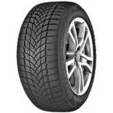 205/50R16 DAYTON DW510 EVO 87 H Žieminės