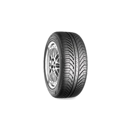 295/35R20 MICHELIN PILOT SPORT A/S PLUS 105 V Vasarinės