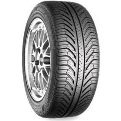 295/35R20 MICHELIN PILOT SPORT A/S PLUS 105 V Vasarinės